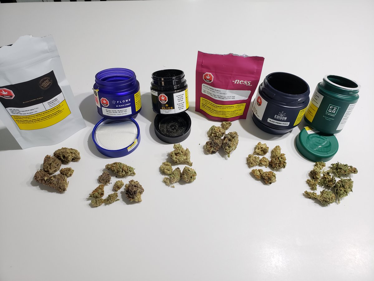 [1/4] Here's a quick look at SIX offerings of Black Cherry Punch grown across Canada by (L->R): North40  @40Cannabis (SK), Flowr  @FlowrCanada (BC), Elios/ MediWanna (ON), -Ness  @exploreyourness/  @bzamcannabis (BC/AB), Edison  @TheEdisonCo/  @discoverOGI (NB), & Figr  @FIGRinc (PE).