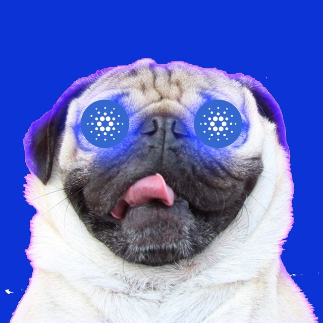 BasilioKelviny's tweet photo. #NewProfilePic https://t.co/l3rXlnzUXu