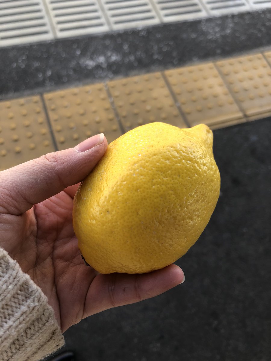 腐ったレモンの方程式 腐ったレモンの方程式