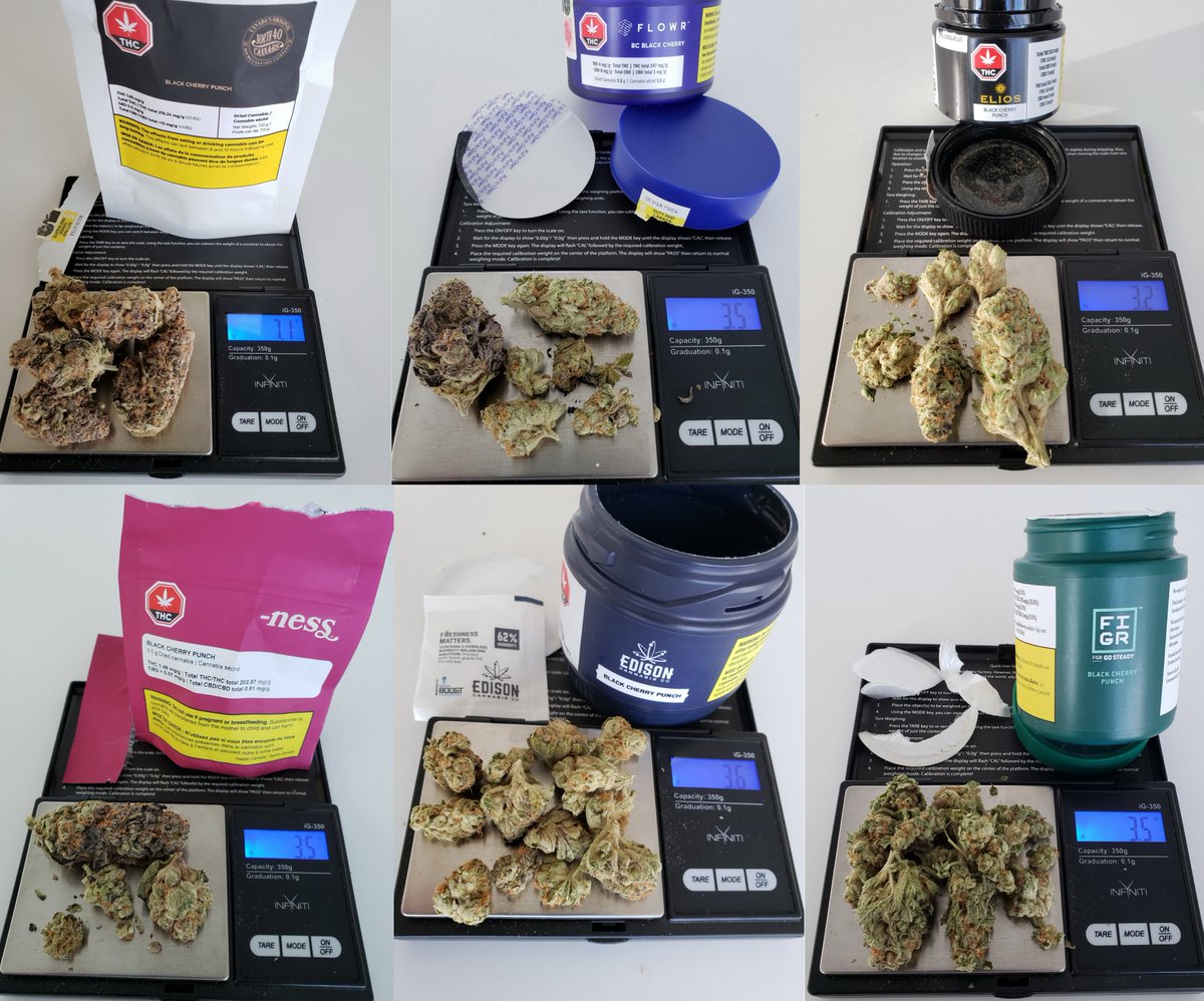 [1/4] Here's a quick look at SIX offerings of Black Cherry Punch grown across Canada by (L->R): North40  @40Cannabis (SK), Flowr  @FlowrCanada (BC), Elios/ MediWanna (ON), -Ness  @exploreyourness/  @bzamcannabis (BC/AB), Edison  @TheEdisonCo/  @discoverOGI (NB), & Figr  @FIGRinc (PE).