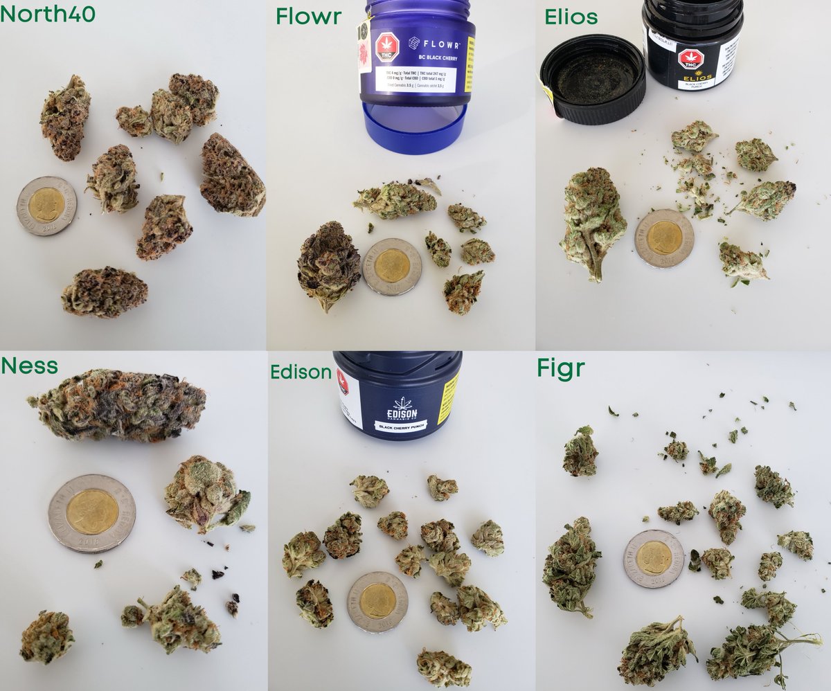 [2/4] I see multiple offerings of the same cultivar not as a sign of a crowded market but instead the sign of a maturing one. We can now begin to compare & contrast cannabis like we do with beer and wine, and appreciate the different qualities of expressions of similar genetics.
