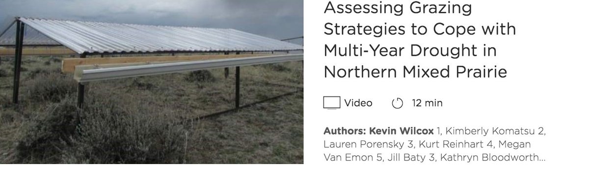Attending #SRM2021? Check out Wilcox et al in the Climate and Drought Section to hear about multiyear drought effects on forage! #DroughtOnTheRange #RanchingUnderDrought

<a href="/wilcoxkr/">Kevin Wilcox</a> <a href="/MSUBeefExt/">Montana State University Beef Extension</a> <a href="/drkimkomatsu/">Kim Komatsu</a> <a href="/mdtfrost/">Morgan Frost</a> @k_bloodworth
