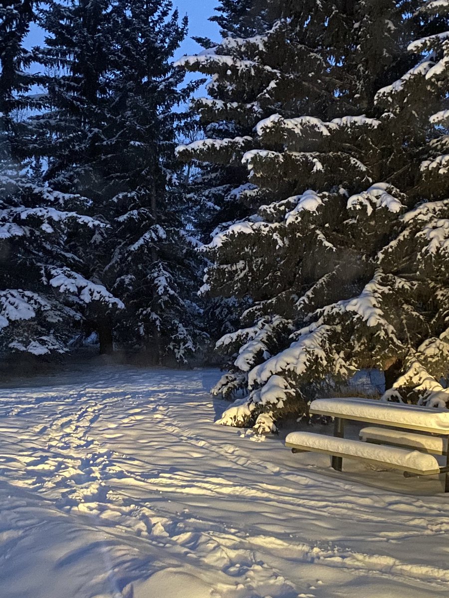 keeprunningkris's tweet image. Awesome run tonight!! Only thing cold was my butt! Definitely earned my #wintermoves swag from #runcalgary #runyyc #yyc #runstreak #day438 #runwithrivs #keeprunning #rageon #nottoday #winterrunner #polarvortex