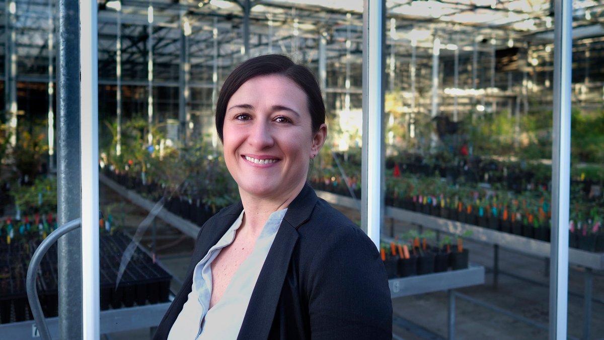NCStateCALS's tweet photo. #NCStateCALS Professor Ross Sozzani has been named director of the plant improvement platform for the North Carolina Plant Sciences Initiative. Learn more about her goals for the future: https://t.co/KfPnPC8l7N https://t.co/OCn9uSzrXf