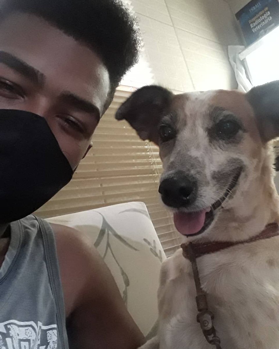 xpvine's tweet photo. VOCÊ PODE AJUDAR MINHA CACHORRA A OPERAR? (COMPARTILHEM POR FAVOR).
Essa na foto é mnh cachorra e ela precisa fazer uma operação na pata como vocês podem ver no raio x. Infelizmente também eu não tenho condições de bancar o pré operatório e a operação que custa  1000,00. 

#BBB21 https://t.co/0nZ2dL8Xyh