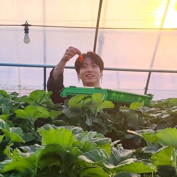 jeon jungkook as ur boyf —a mf thread.