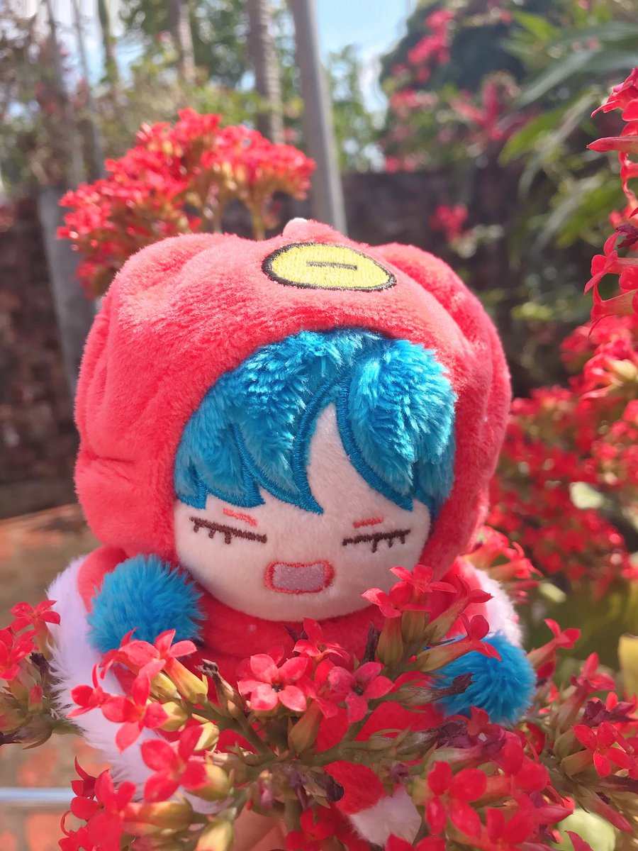 Tiny Doll tweet media