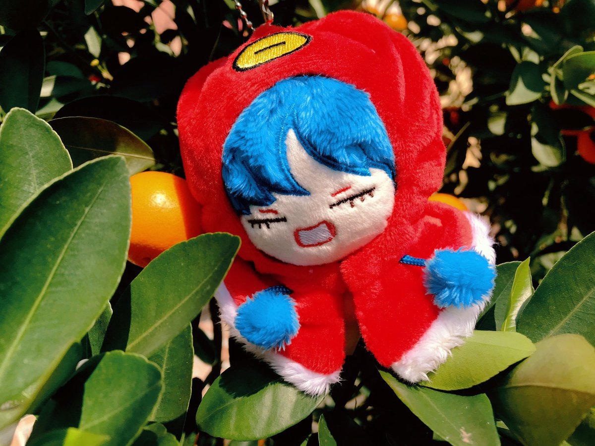 Tiny Doll tweet media