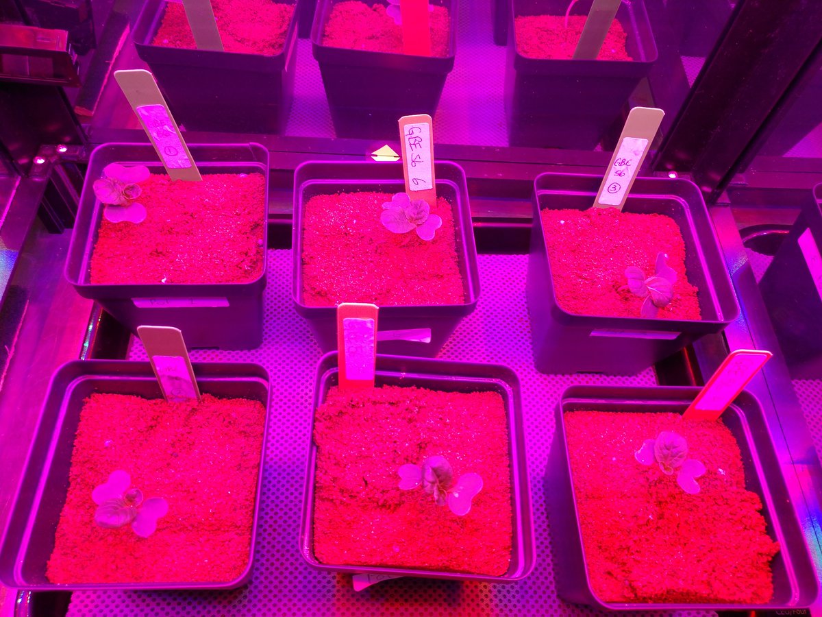 Jefferson MS Space Farmers tweet media