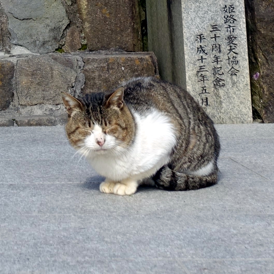 M Manabe 動物たちの霊が眠る 生類慰霊碑 を 二匹の猫が眠そうな顔をしながらも しっかりと守っていました 姫路 名古山霊苑 猫神様