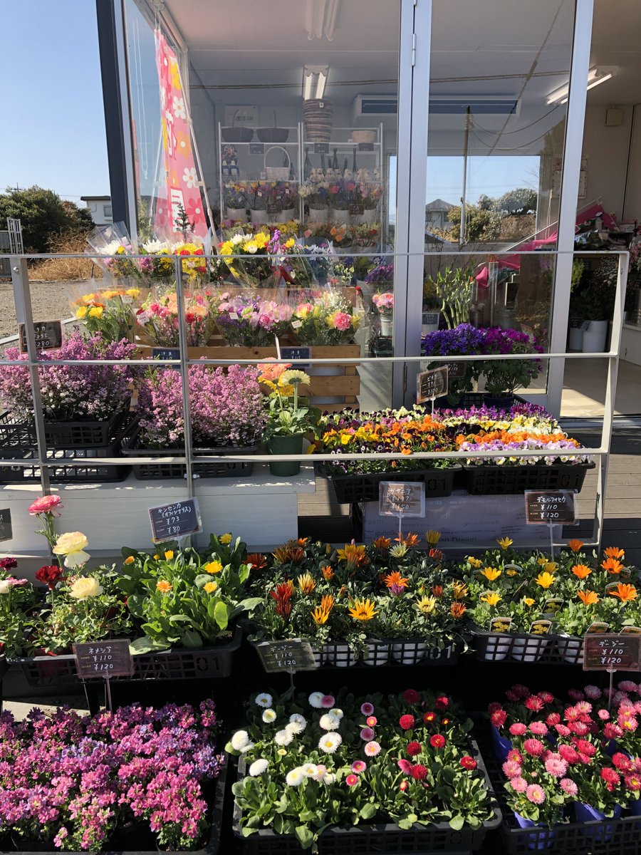大沢園芸 ただ今春の花苗 各種入荷中です プレゼントやお部屋に飾って頂ける バスケットアレンジ もご用意しています お好きな花を選んで頂き オリジナルのバスケットアレンジを作って頂く事も出来ますよ 是非皆さまのお越しをお待ちしています 大沢園芸 ただ今春の花苗 各種入荷中です プレゼントやお部屋に飾って頂ける バスケットアレンジ もご用意しています お好きな花を選んで頂き オリジナルのバスケットアレンジを作って頂く事も出来ますよ 是非皆さまのお越しをお待ちしています