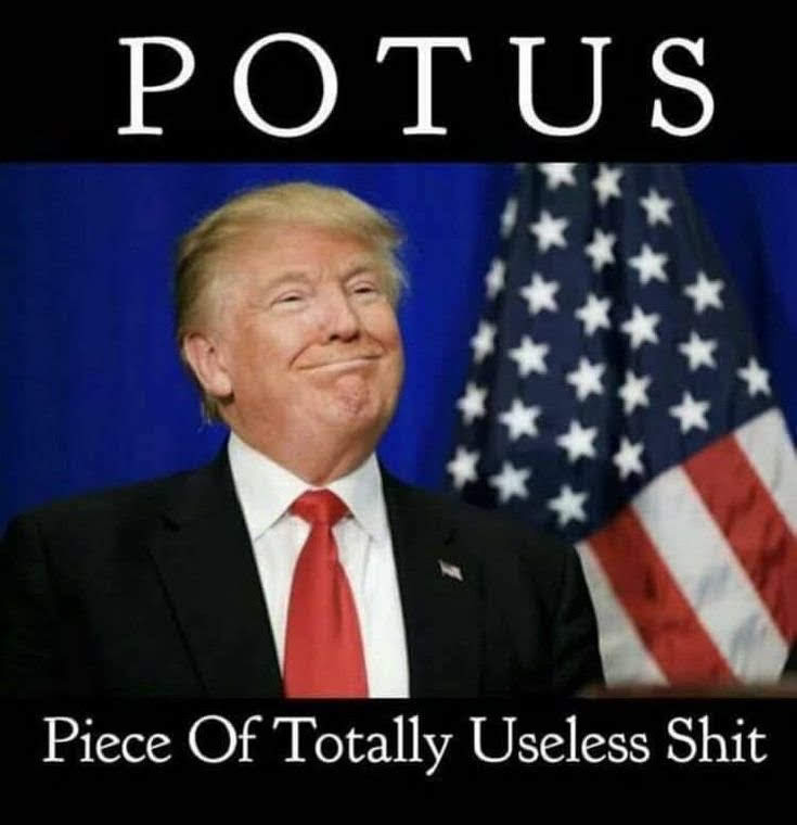 retiredfirstsgt's tweet photo. #trumpTraitorInChief
#TrumpIsGuilty
#trumpBROKEhisOath. https://t.co/OJHdzdqKWe