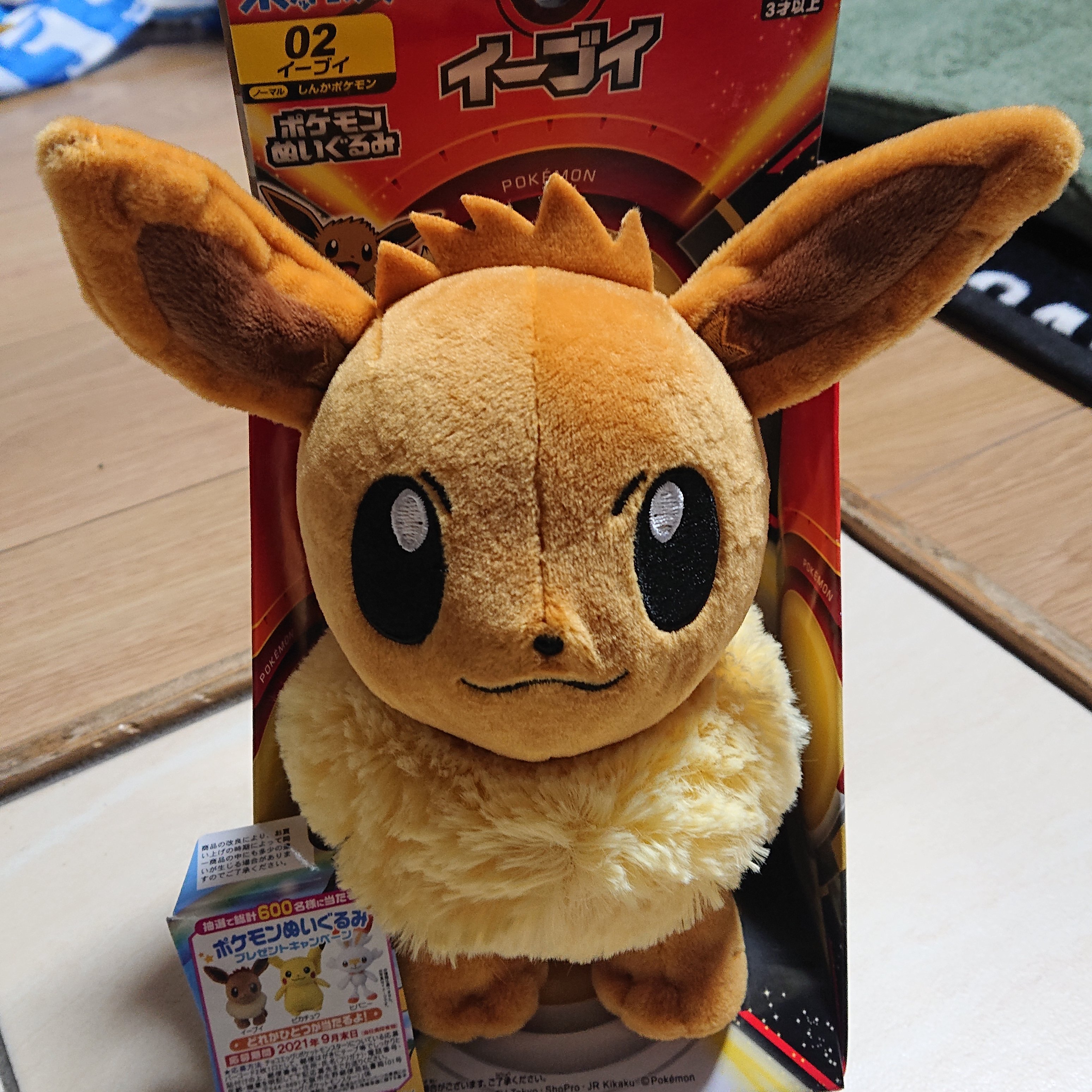 Aoko ふみくん聞いて ポケモンぬいぐるみ当選 ﾁｮｺｴｯｸﾞたくさん買った甲斐があった ポケモン チョコエッグ ふみくん ピアノ男子 T Co Qmrvkphysq T Co Wqhwzg6igp Twitter