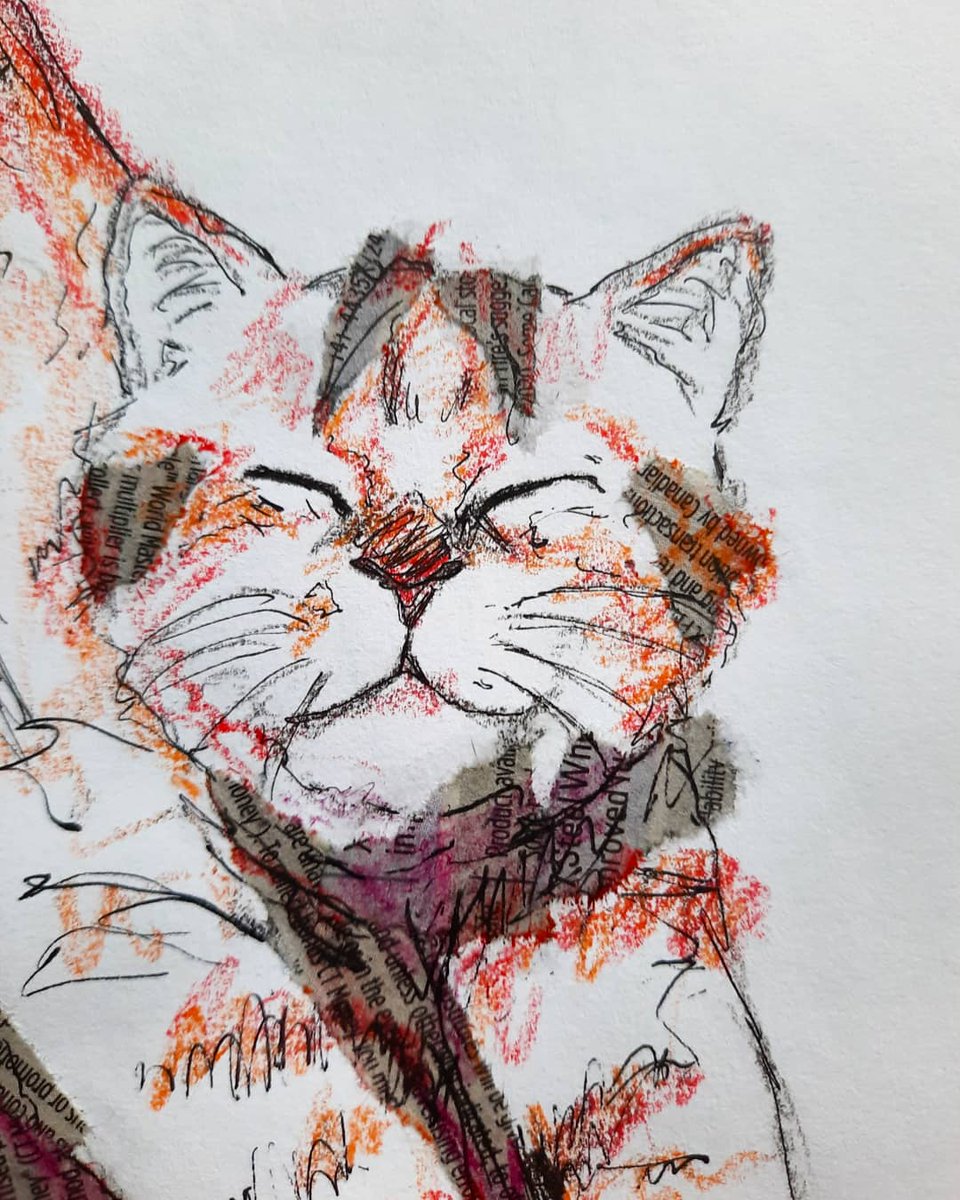 NLima_Art's tweet photo. "Stretching Cat"
#art #cat #artist #gesture https://t.co/eB5su2foSN