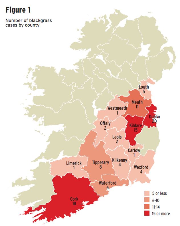 Worrying numbers in this weeks <a href="/farmersjournal/">Irish Farmers Journal</a>. The number of confirmed cases of Blackgrass in ROI increased by 145% between 2019(left) and 2020(right). And this is arguably only a fraction of the actual numbers. farmersjournal.ie/blackgrass-inv… <a href="/TeagascCrops/">Teagasc Tillage Team</a> <a href="/staples_jimmy/">Jimmy Staples</a> #Blackgrass21