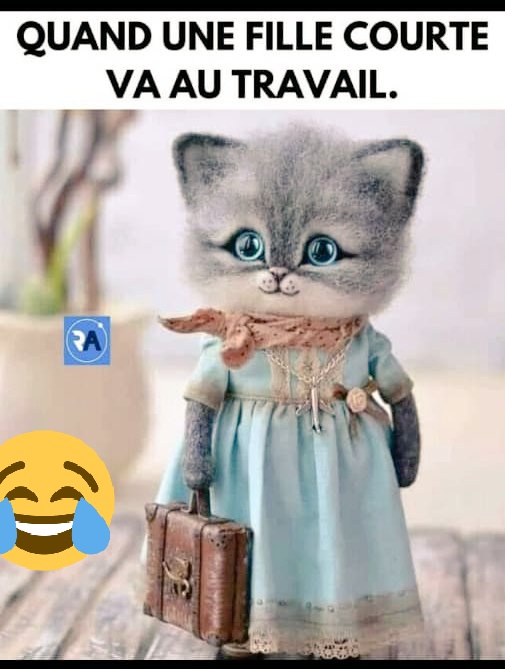 PenseeMaria's tweet image. Les Petites de taille comme moi là ,je vous salue 😂😂😂😭😂😂😂