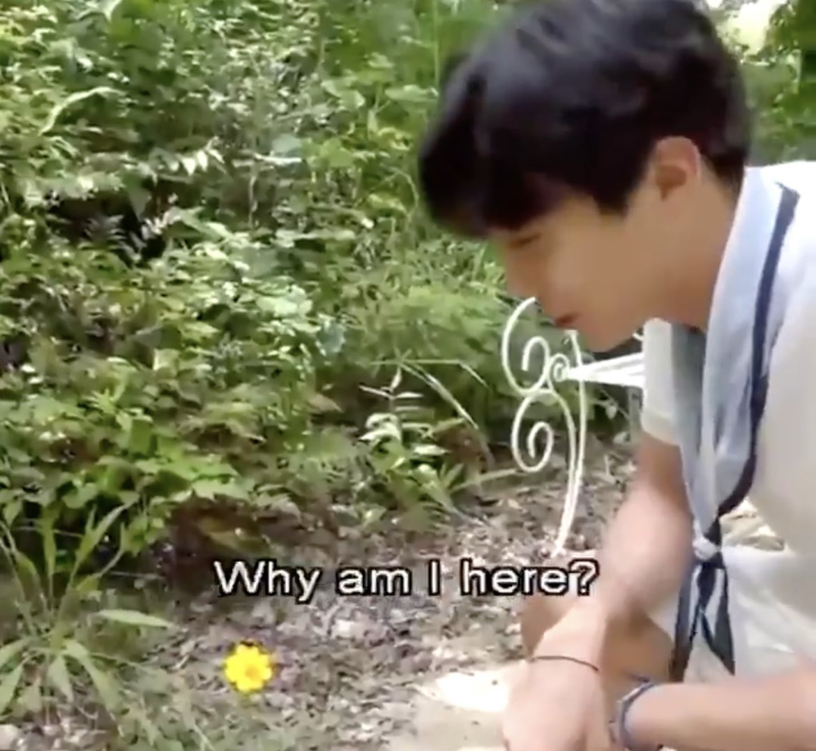 Hobi calling himself a flower YES IT IS A THREAD: