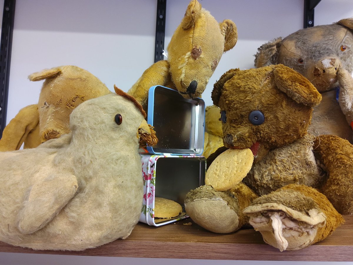 Our favourite biscuit is a Digestive. It's a good dunker and not too sweet. Whats your favourite and why? #teddybearladies #teabreak #biscuit #dunk #snack #thursday #digestivebiscuits