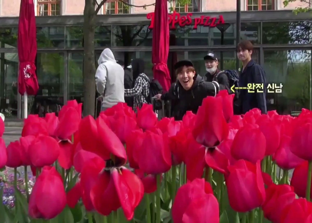 Hobi calling himself a flower YES IT IS A THREAD: