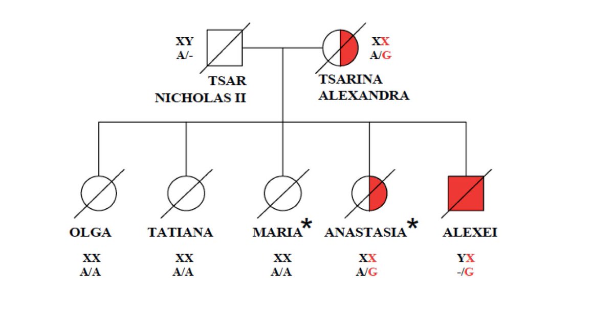 In 2007, grave of Alexie was found. DNA analysis showed presence of pathogenic mutation in F9 gene, predicted to have caused hemophilia B or Christmas disease (named after a patient, not holiday). His sister, Anastasia, was a carrier, like his mother.  https://tinyurl.com/n30wlmj7&nbsp;