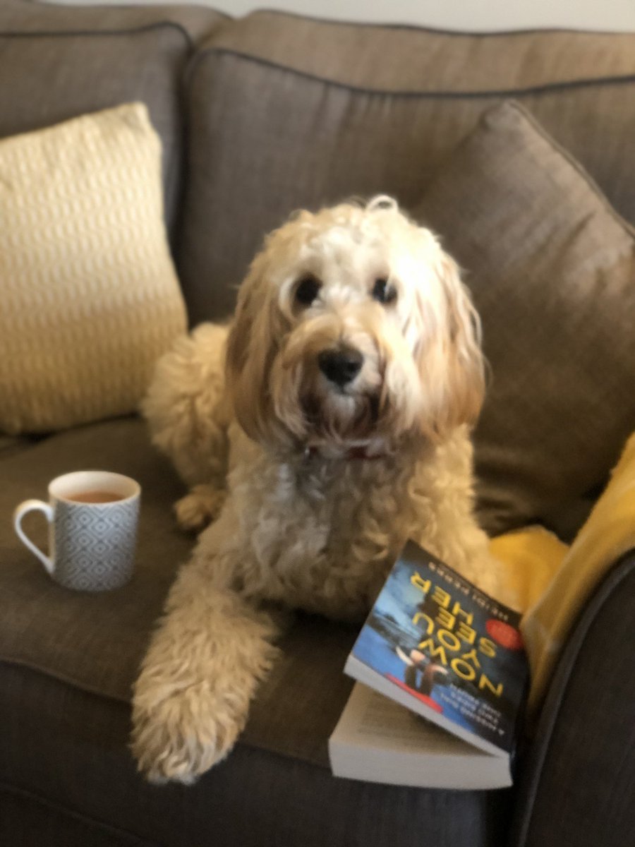 Mrs Elliott tweet media