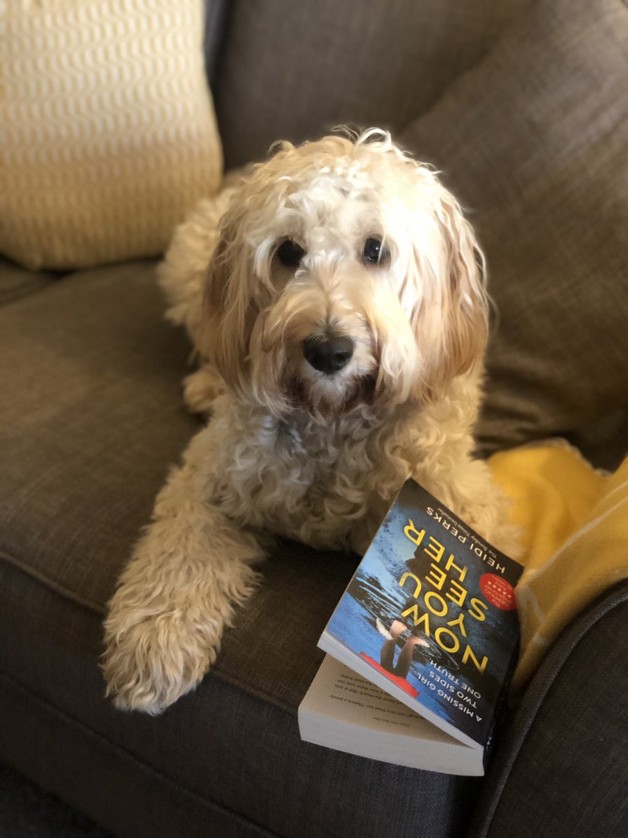 Mrs Elliott tweet media