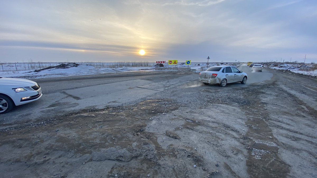 Полли tweet media