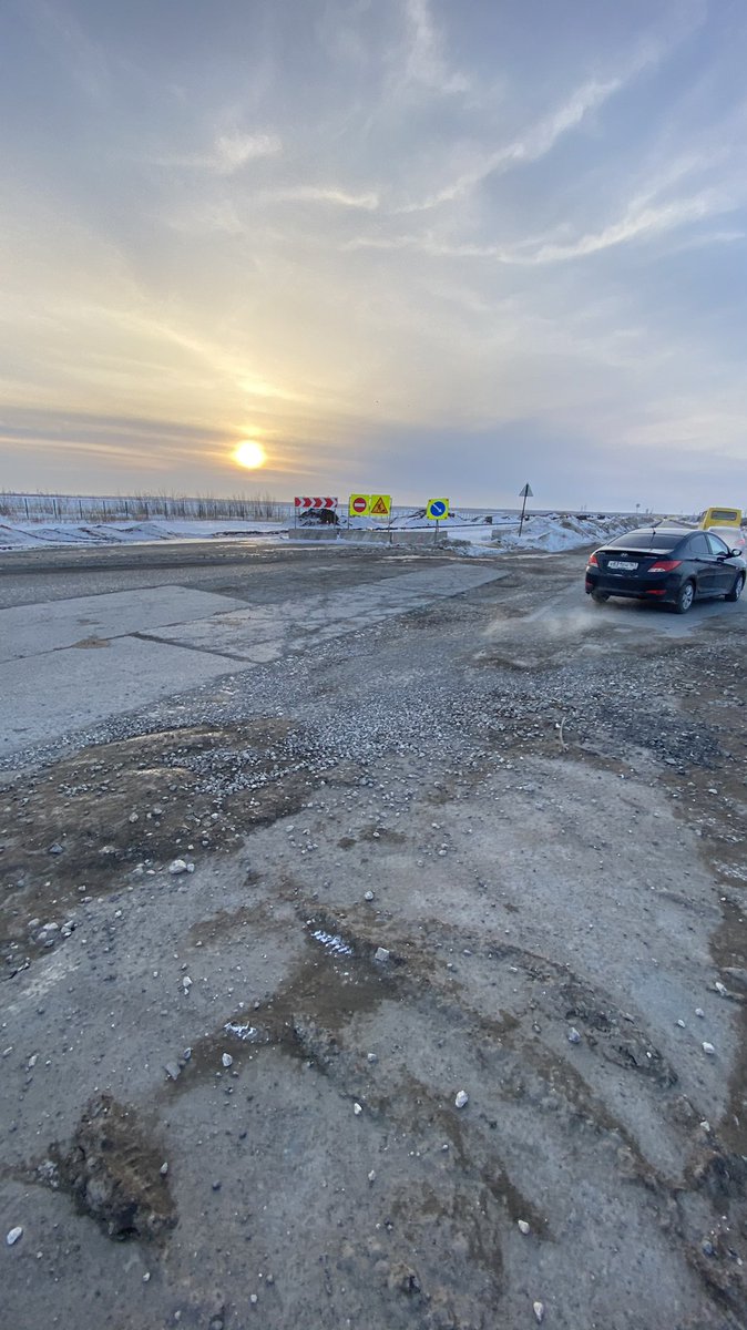 Полли tweet media