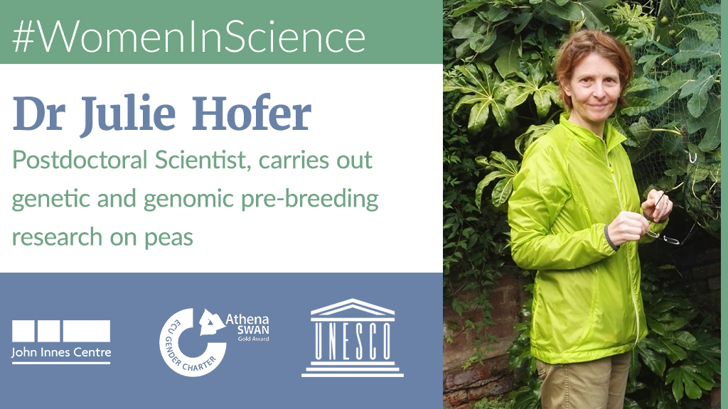 Dr Julie Hofer - Postdoctoral Scientist, carries out genetic and genomic pre-breeding research on peas https://www.jic.ac.uk/people/julie-hofer/  #WomenInScience