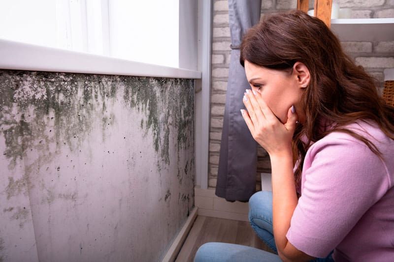 Humexpert's tweet image. ¿Por qué aparecen #ManchasDeHumedad en las viviendas🏡 de #Mallorca? Hay 3 posibles causas👇🏻

1️⃣Por falta de ventilación️⃣
2️⃣Por #FugasEnLasTuberías️⃣
3️⃣Por un aislamiento deficiente 

Descubre aquí los #TiposDeHumedades según su causa👉 buff.ly/3a1YZ5E