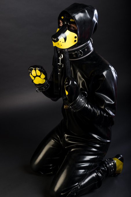 I remember some years ago when @Rubberfoxy borrowed me sone rubber for a photoshoot ???? #rubber #paws