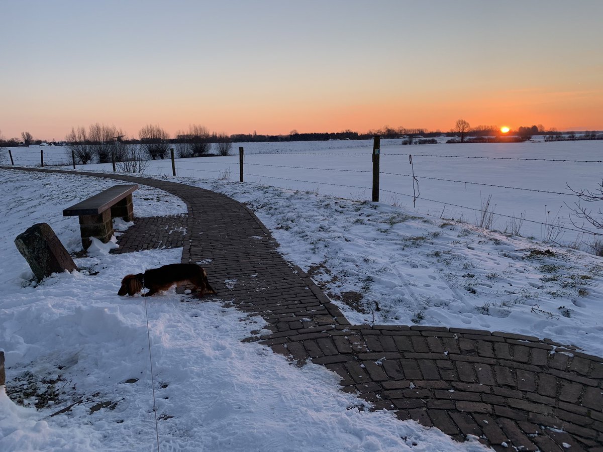 Prachtig rondje met het hondje, vanmorgen tijdens zonsopkomst. #oudzevenaar #zevenaarstrots