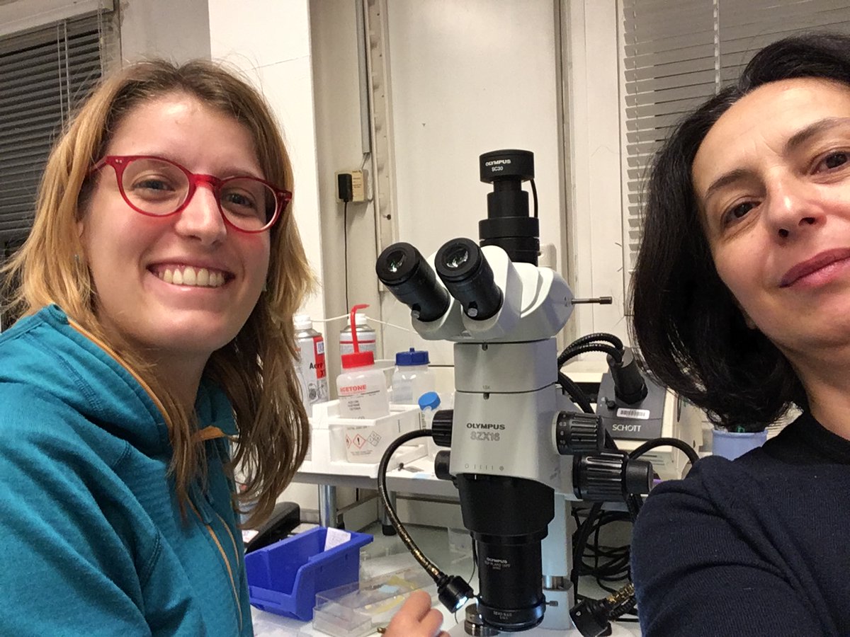 SNazzareni's tweet photo. Mounting tiny crystals a diamond anvil cell in the middle of the night... some years ago! @esrfsynchrotron @MEx_ESRF #womaninscience #WomanInSTEM #SIMPwomenInSTEM @soc_min_pet #WomenInScienceDay @Miozzi_F https://t.co/z5EKXCAVpw