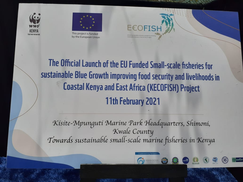 EUinKenya's tweet photo. As we recover from the #Covid19 pandemic, we hope to #BuildBackBetter in sustainable management and governance of biodiversity &amp; natural resources. Today @EUmordue launched our funded programs #KECOFISH &amp; #BIOPAMA #BlueEconomy #SustainableOceanEconomy @EU_Partnerships @EU_MARE https://t.co/WeiBOzFBgp