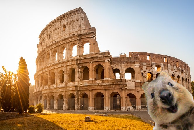 Monsieur Quincampoix tweet media