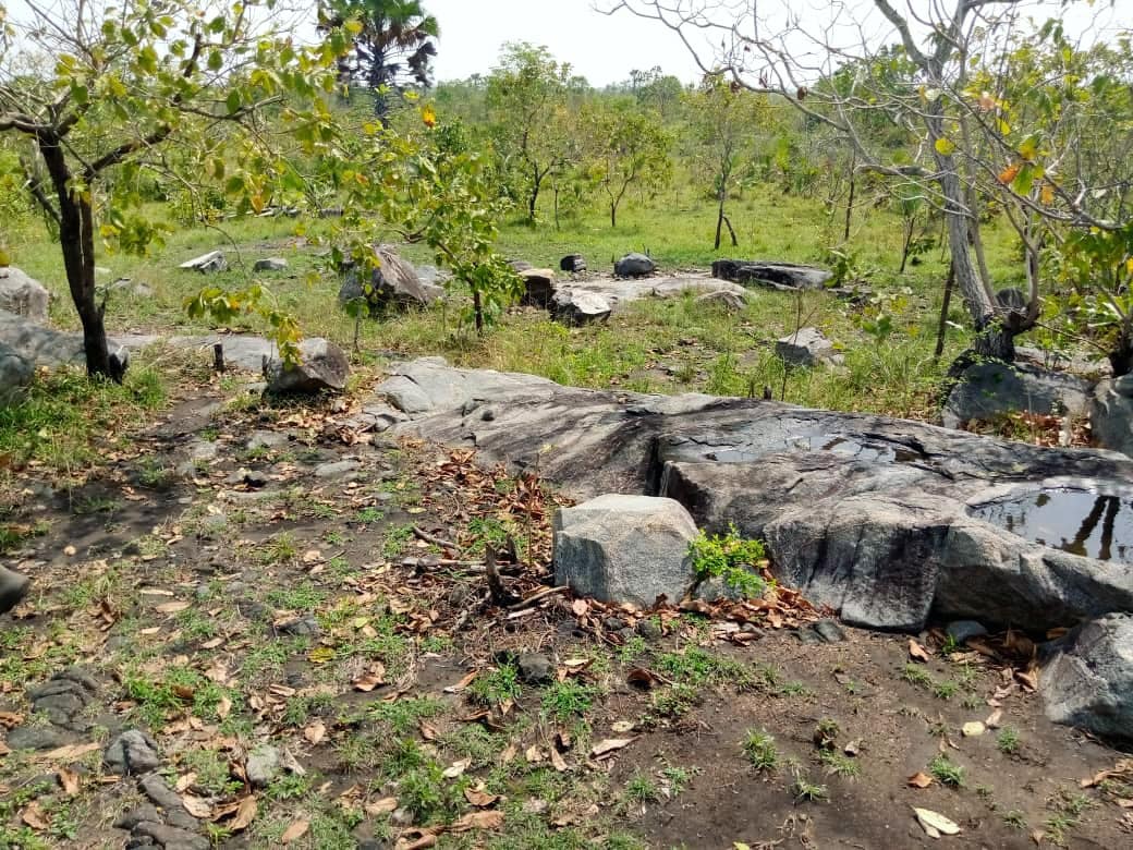 AdonaiEstateltd's tweet photo. Views from our Leaders City Site.
Located around Government Affordable Housing Site, Ho. Close to the Ho Airport.
When are you coming for site visiting?
.
.
.
#adonailands #buylandinho #LitigationFree #landsales #leaderscity #LeadersCityHo #airportresidentialarea https://t.co/V12qD64azC