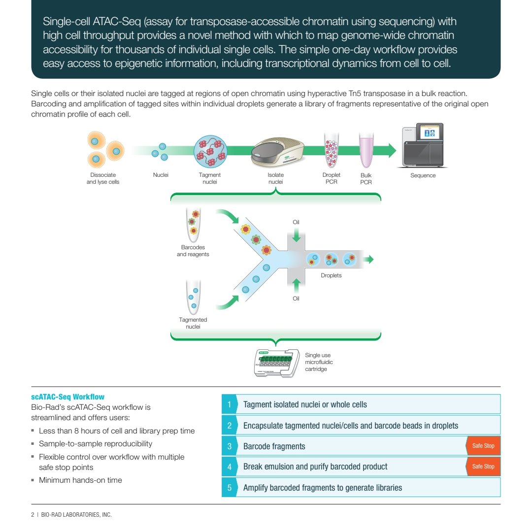 NotWIMM's tweet photo. We now have the BioRad #ddSeq cell isolator for single cell ATAC seq. Cell capture rate is 80-90% and input is 400-5000 cells. Also about £300 cheaper per sample than the 10xgenomics ATAC. https://t.co/YT91doOVel