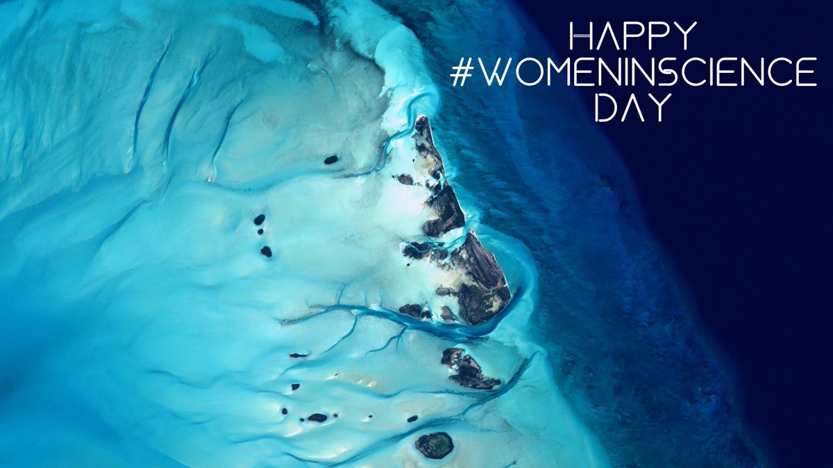 🎆Today we celebrate #WomeninScience Day!🚀

Our #Copernicus programme and services are reliant on the amazing work that our female #EO scientists do, contributing data, analysis and lending credibility to the work that we do.

Let's work together to make #Space4Women 🇪🇺🛰️