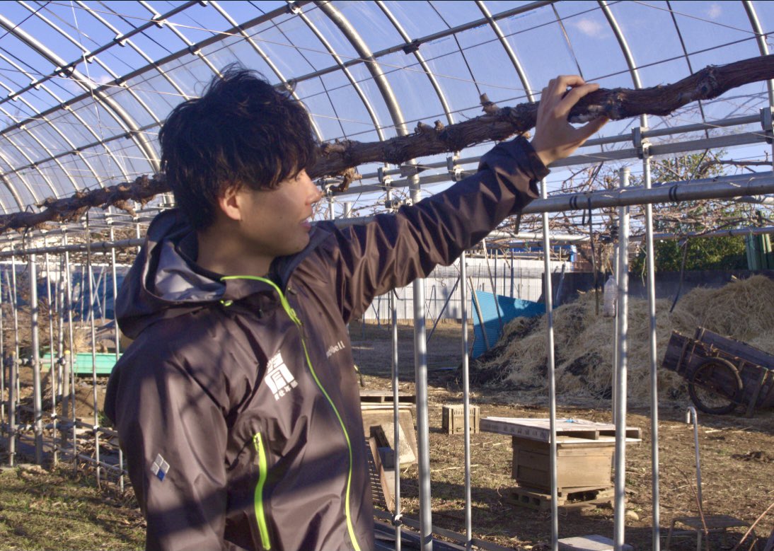 route_634's tweet photo. 先日、三鷹の島田果樹園さんを
取材しました!🥝🍇
三鷹名物のキウイや
シャインマスカットを
作られています✨
島田さんのこだわりやなどなど、
楽しくお話を伺いました😊♪
記事をお楽しみに✨
(みさこさん🐈)
#route634
#島田果樹園
#三鷹
#都市農業 https://t.co/YHGRqTotP9