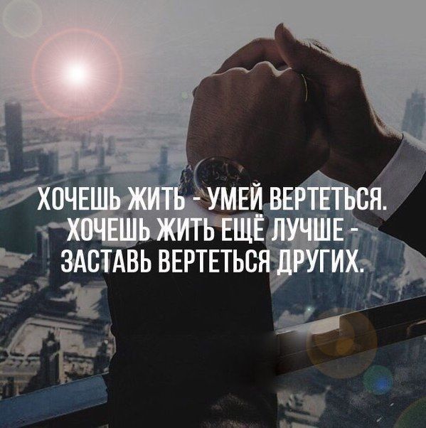 Мудрость веков (@delaisam) on Twitter photo 