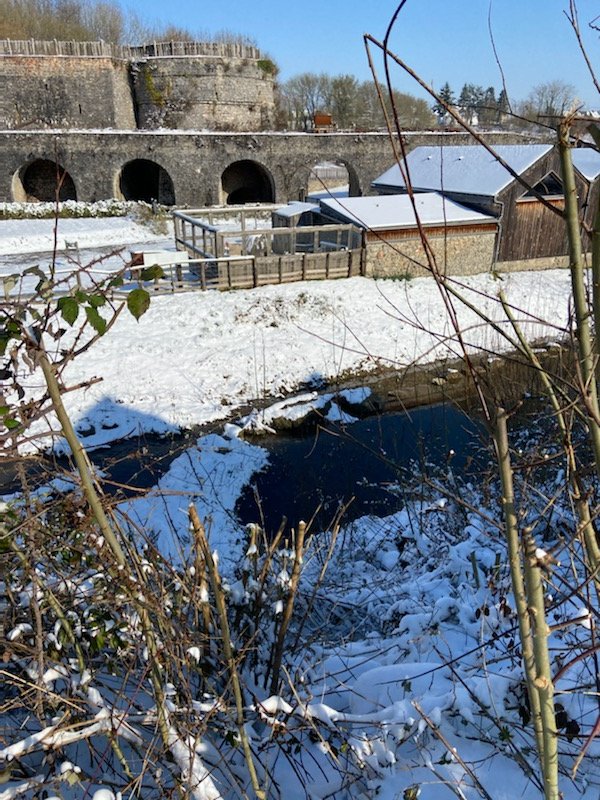❄️La neige n'a pas épargné Echologia et dessine de merveilleux paysages☃️ #echologia #neige  #INSOLITE  #beautiful #meteo #hiver #patrimoine #Mayenne