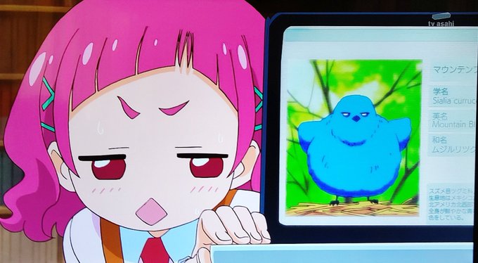 マウンテンブルーバードのtwitterイラスト検索結果 マウンテンブルーバードのtwitterイラスト検索結果