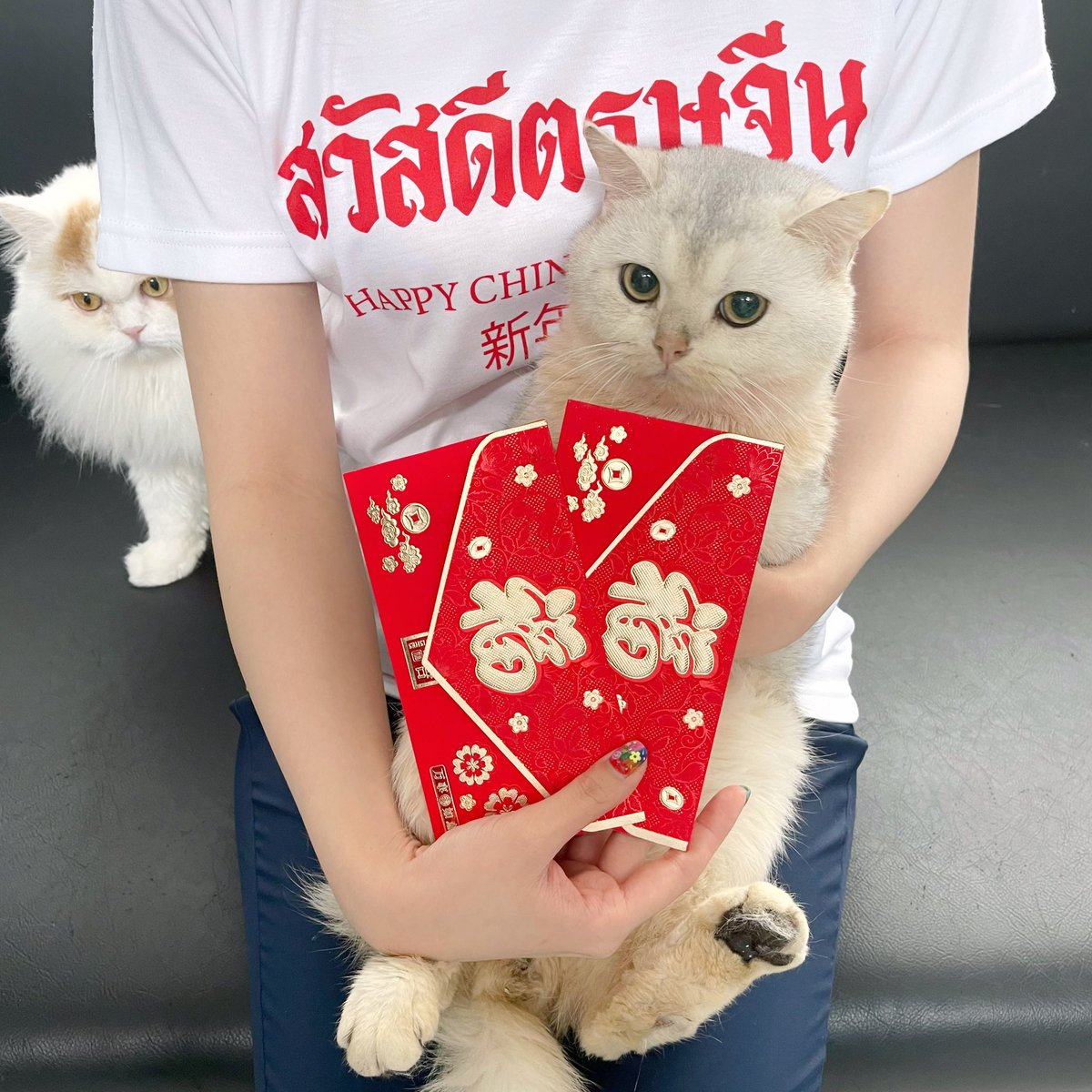 โบนัสเป็นแม่แมว tweet media