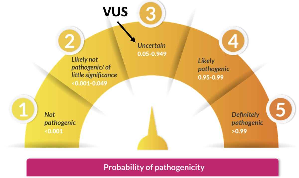 A Variant of Unknown Significance (VUS) is an inconclusive result. The probability the variant is causing your patients problems is anywhere between 5%-94.9%. LARGE RANGE. So don't ignore it and don't overcall it. If you need help, we (genetic counsellors/geneticists) gotchu