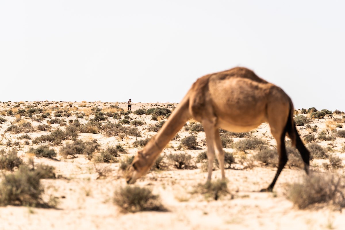 UltraMirageElDjerid tweet media