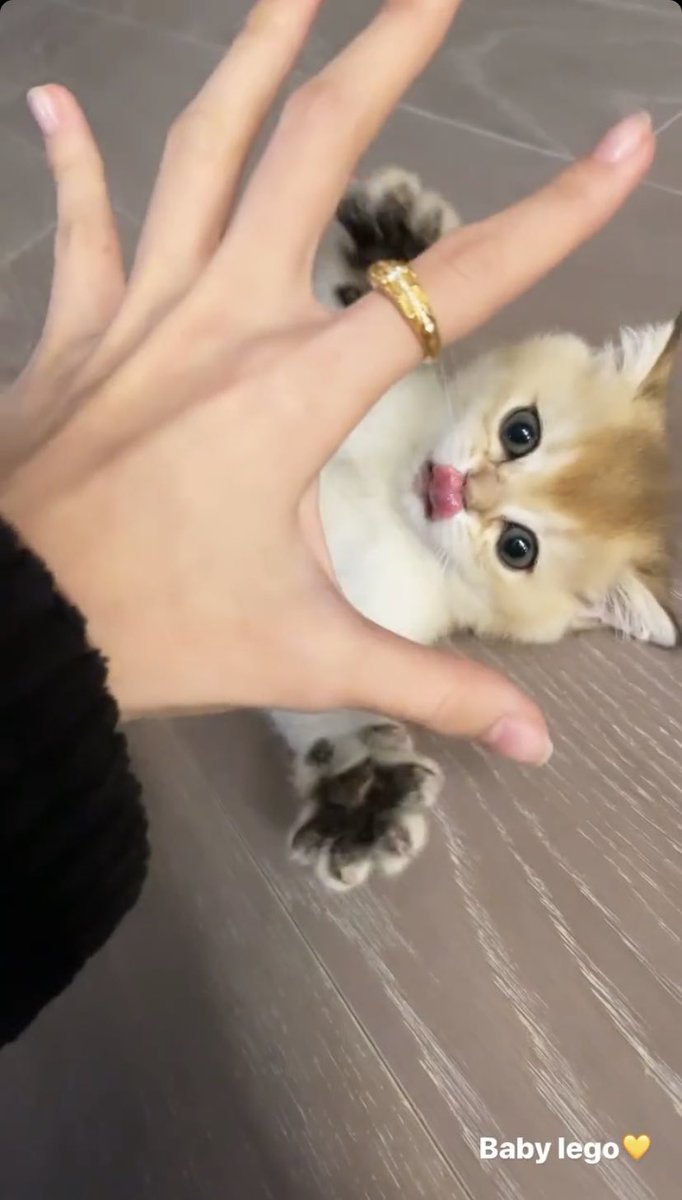 Baby lego cute parah-!!💗