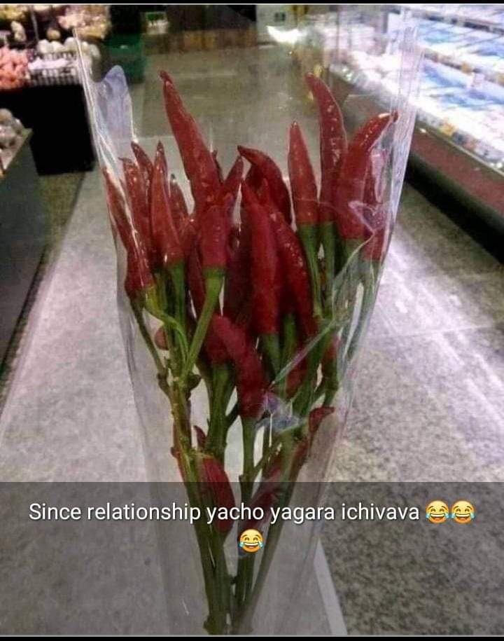 pineapple smoothie🇿🇼 (@sikhang37221599) on Twitter photo 