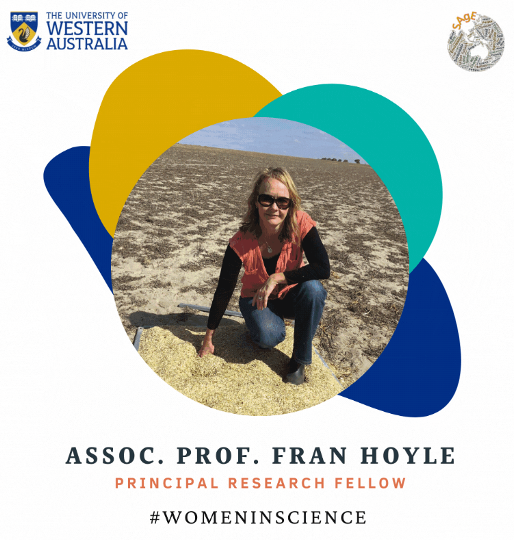 UWA SAgE tweet media