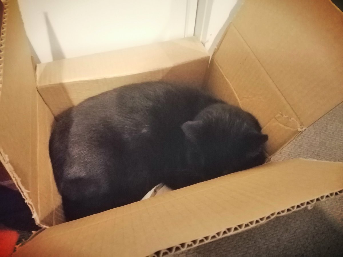 Scott Pilkington tweet media