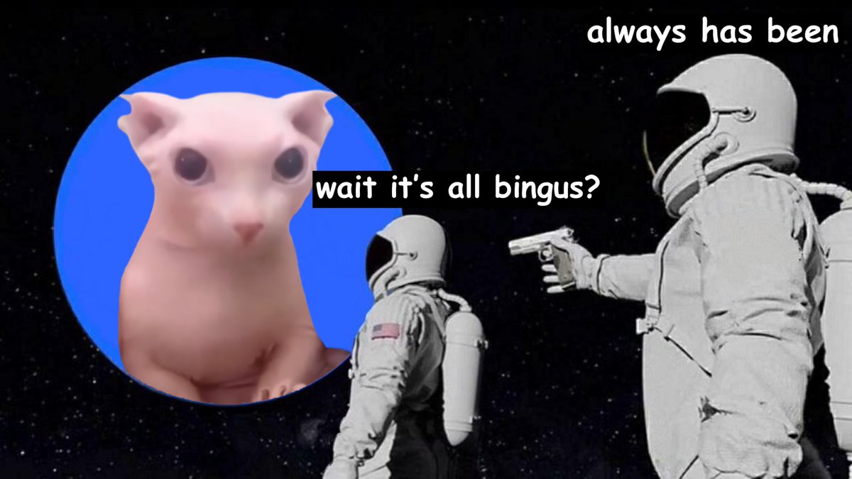 BrieAfraid Updates tweet media